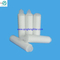 Cartucho de filtro plisado de membrana PTFE de 0.22 micron para gas de alta pureza