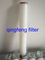 Filtro de cartucho plisado de medios PTFE para agua y filtración química