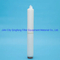 100% de integridad Probado PTFE PTFE PTFE Filtro plisado Carteros Filtro de agua del compresor de aire para aire comprimido