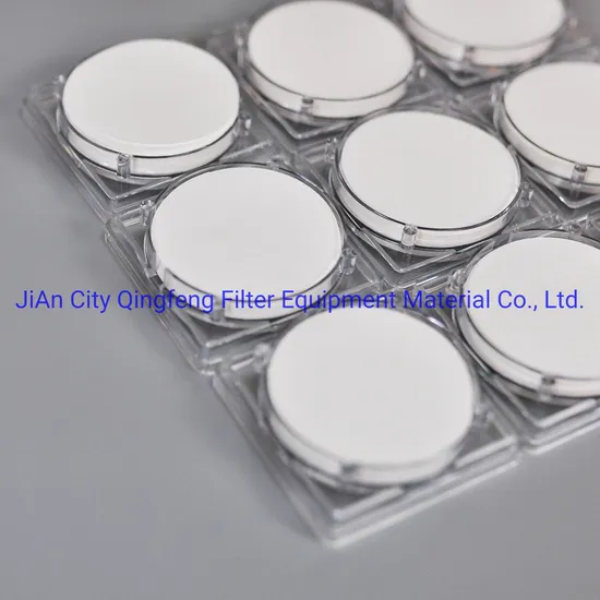 Membrana de filtro de micrón de nylon hidrófilo de 0.45um con tipo de disco de rollo