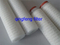 Cartucho de filtro de membrana de 0.22/0.45 PES para filtración de agua ultra pura
