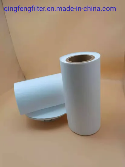 Filtro de membrana de micropore de PVDF/PTFE 0.22um para productos biológicos para productos biológicos