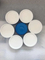 0.45um PVDF/PTFE/Filtro de membrana de nylon para filtración esterilizante y filtración aditiva