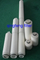 1UM 3UM Membrana PP Absolute/PP/PVDF/PTFE/PES/Nylon/CA Pleaded Filter Cartucho para filtración de aclaración