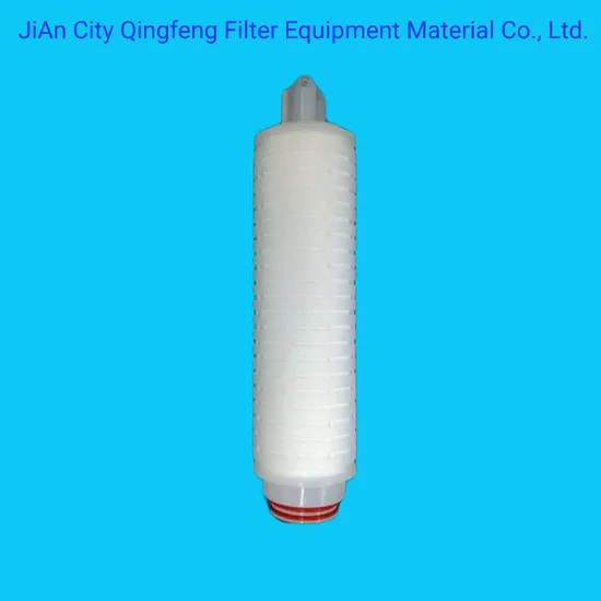 0.1um Nylon/Pes/Pes/PP/PVDF/PTFE Cartucho de filtro de membrana para alimentos y bebidas