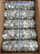 Filtros de jeringa 0.45 Filtro de jeringa de nylon para HPLC
