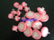PVDF/PP/PES/PTFE/filtro de jeringa de nylon de 13 mm/25 mm para uso de laboratorio y médico