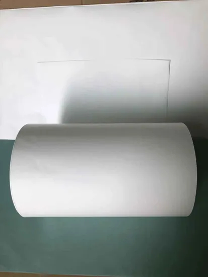 Roll Micron Polyethersulfone (PES) Filtros de membrana con el mejor precio