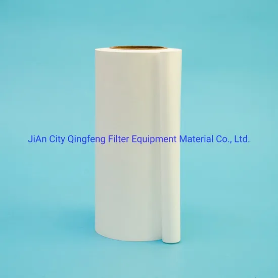 Membrana de filtro de micrón de nylon hidrófilo de 0.45um con tipo de disco de rollo