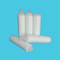 Cartucho de membrana de filtro plisado de PTFE hidrofílico e hidrofóbico para filtro de agua