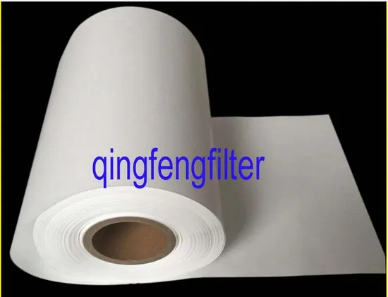 Membrana del filtro PTFE hidrofóbico sin capa de soporte para filtración de gas y filtración aséptica